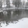 Abfischen Sporty Teich 2022